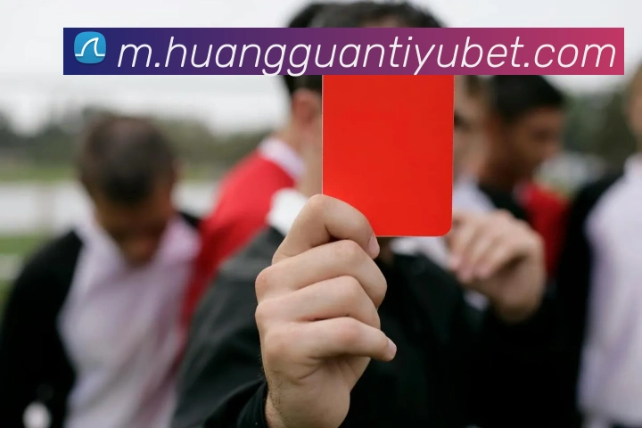 未来规划